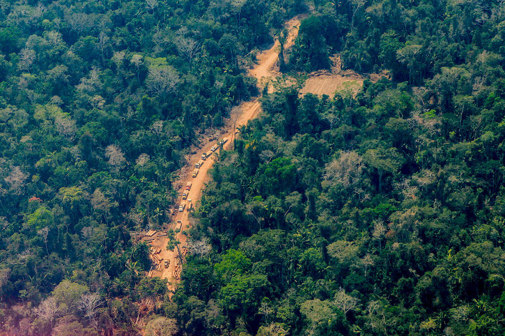 INVESTIGADOS. En total son más de 50 los presuntos integrantes de Los hostiles de la Amazonía, según la fiscalía.