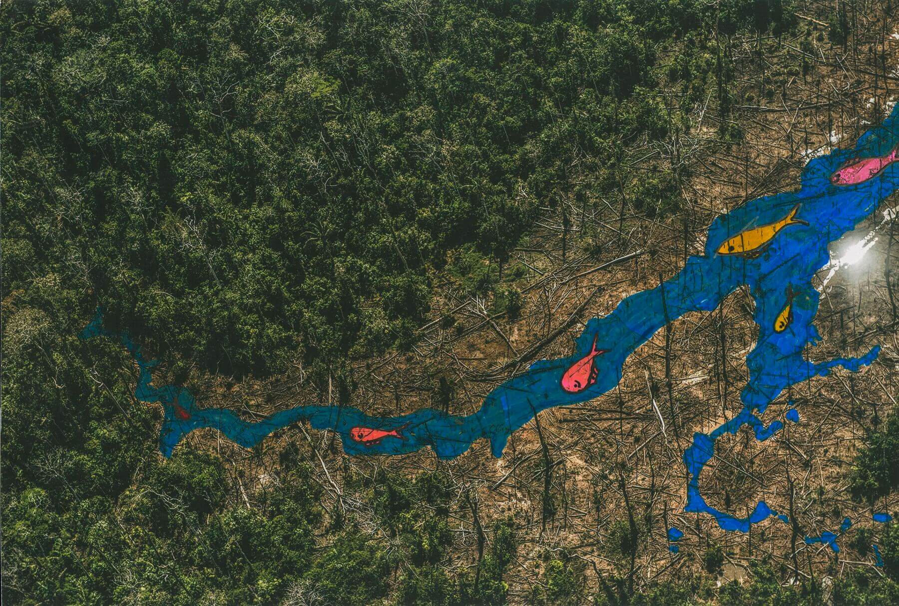 IMAGINACIÓN. Un proyecto que OjoPúblico acompañó en en Amazonas reunió a un grupo de niños awajún para que reconstruyan la diversidad sobre imágenes de bosques destruidos. 