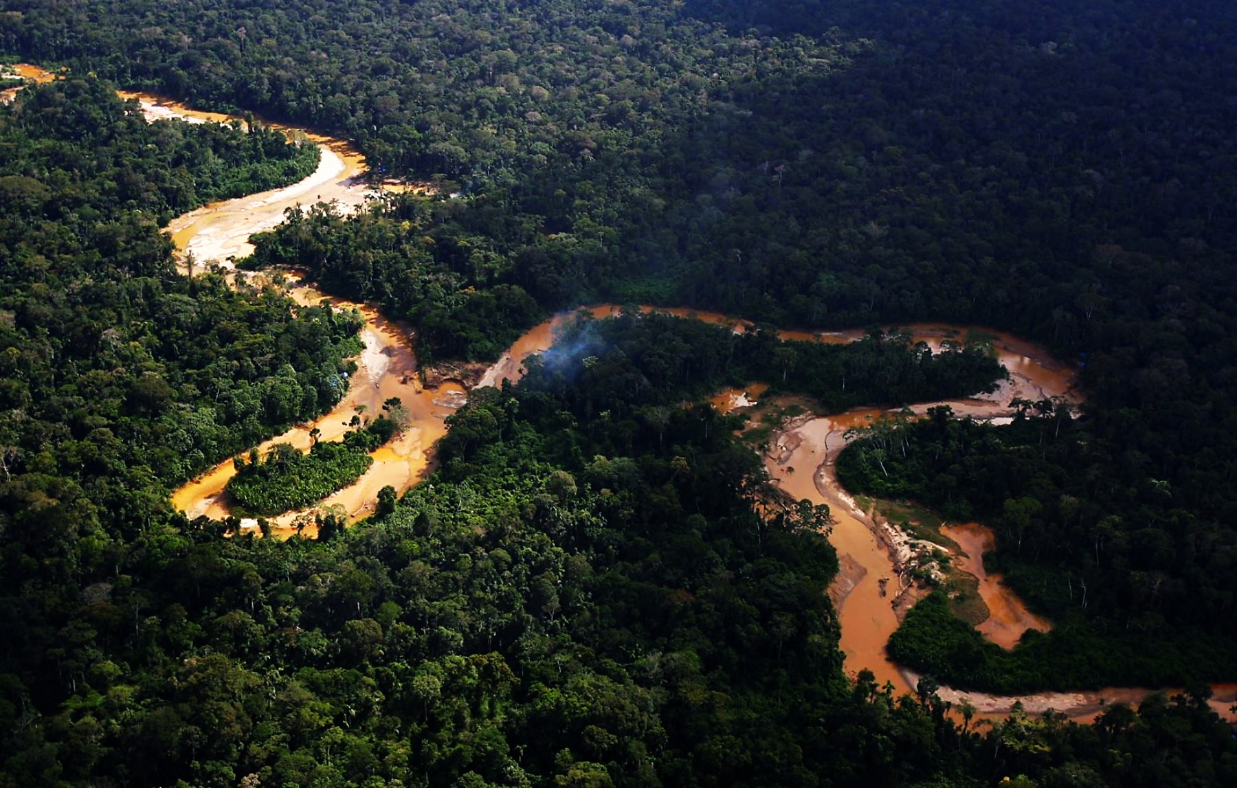 ALERTA. Pese a ser considerada un área destinada a la conservación, OjoPúblico detectó pérdida de bosques en zonas donde el Grupo Wong maneja proyectos de bonos de carbono.