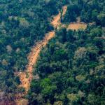 INVESTIGADOS. En total son más de 50 los presuntos integrantes de Los hostiles de la Amazonía, según la fiscalía.