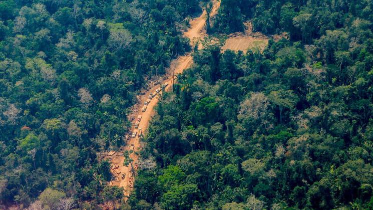INVESTIGADOS. En total son más de 50 los presuntos integrantes de Los hostiles de la Amazonía, según la fiscalía. INVESTIGADOS. En total son más de 50 los presuntos integrantes de Los hostiles de la Amazonía, según la fiscalía.