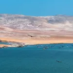 ECOSISTEMA. Once empresas investigadas por pesca ilegal en la Reserva Nacional de Paracas serían beneficiadas por multas en riesgo de prescribir.