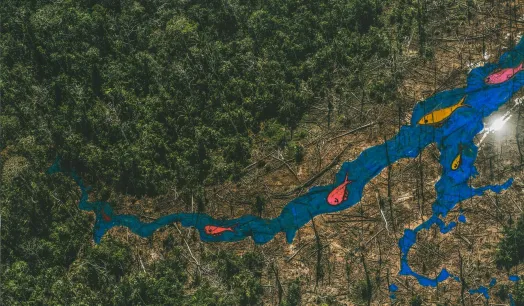 IMAGINACIÓN. Un proyecto que OjoPúblico acompañó en en Amazonas reunió a un grupo de niños awajún para que reconstruyan la diversidad sobre imágenes de bosques destruidos. 