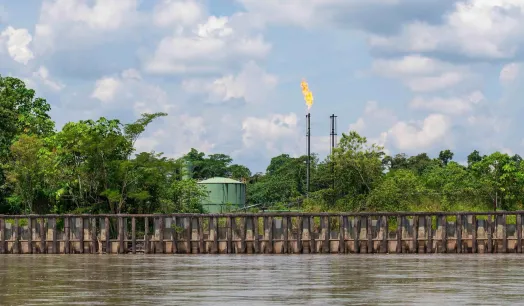 YASUNI. En 2023, un referéndum histórico determinó el fin de la actividad petrolera en este parque nacional de Ecuador, pero hasta ahora el gobierno no cesa en las operaciones.